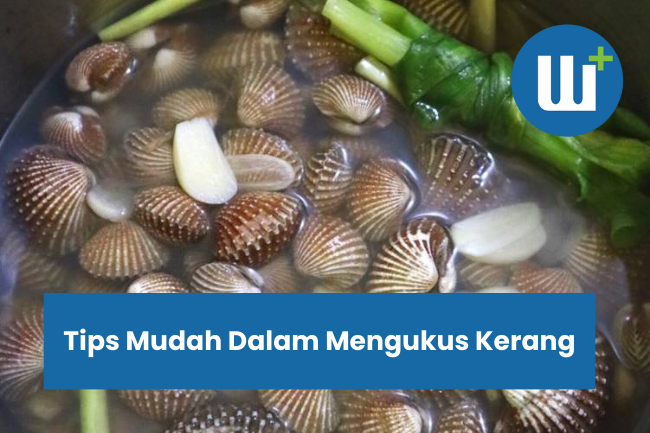 Tips Mudah Dalam Mengukus Kerang